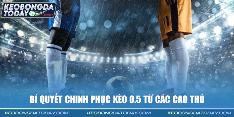 Bí quyết chinh phục kèo 0.5 từ các cao thủ
