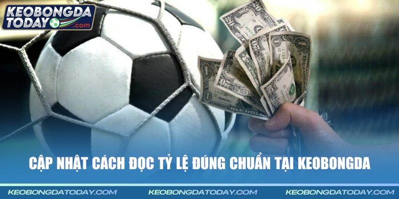 Cập nhật cách đọc tỷ lệ đúng chuẩn tại Keobongda