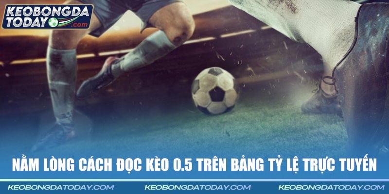 Nằm lòng cách đọc kèo 0.5 trên bảng tỷ lệ trực tuyến