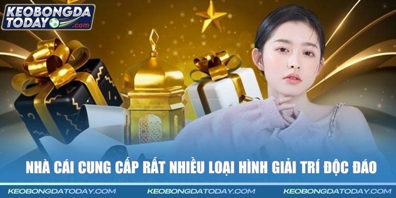 Nhà cái cung cấp rất nhiều loại hình giải trí độc đáo