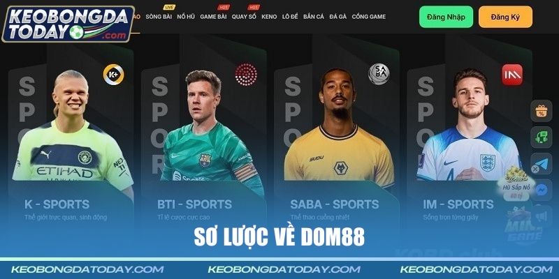 Sơ lược về DOM88