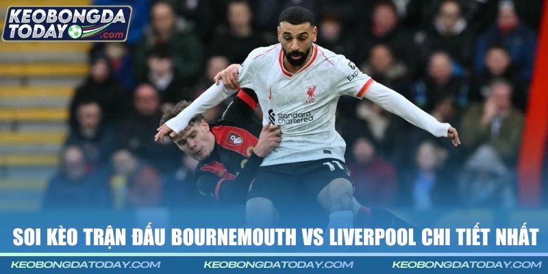 Soi kèo trận đấu Bournemouth vs Liverpool chi tiết nhất