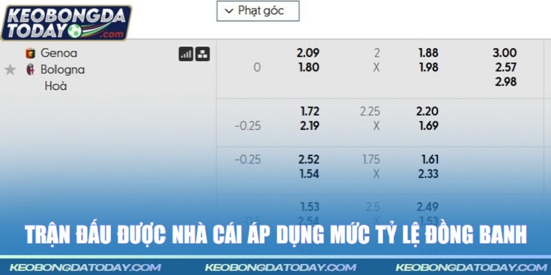 Trận đấu được nhà cái áp dụng mức tỷ lệ đồng banh