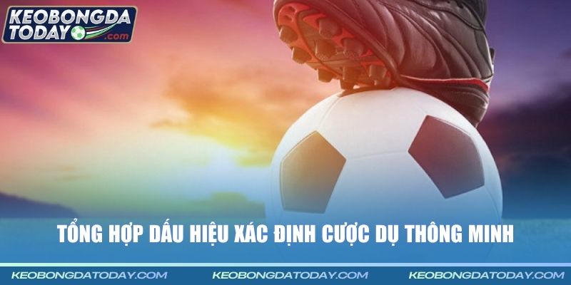 Tổng hợp dấu hiệu xác định cược dụ thông minh