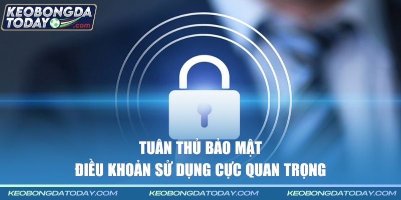 Tuân thủ bảo mật - Điều khoản sử dụng cực quan trọng