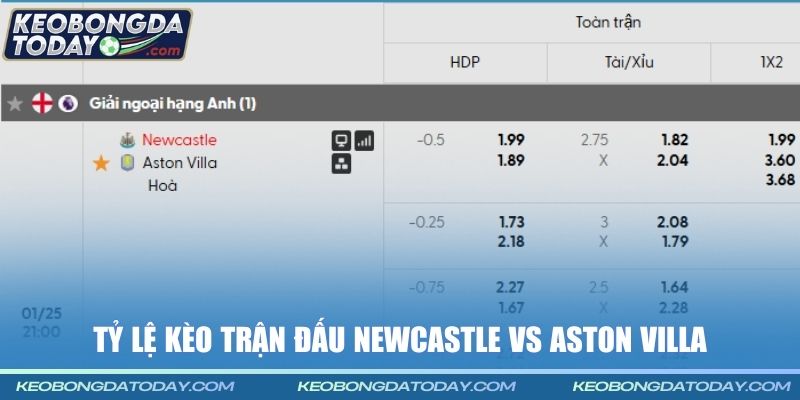 Tỷ lệ kèo Newcastle vs Aston Villa chi tiết