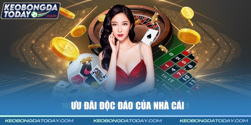 Ưu đãi độc đáo của nhà cái