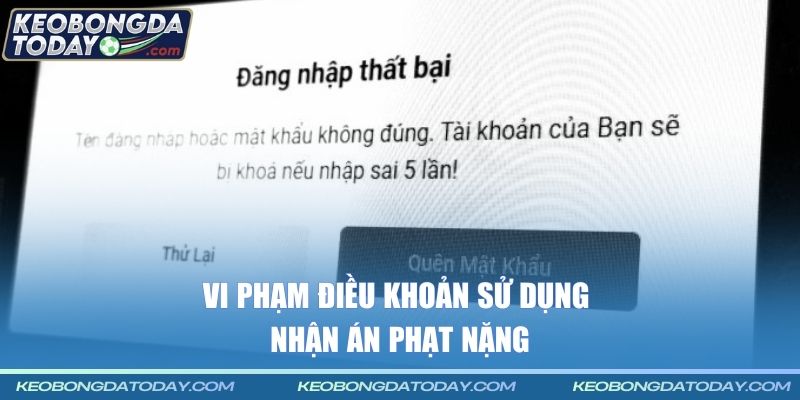 Vi phạm điều khoản sử dụng nhận án phạt nặng